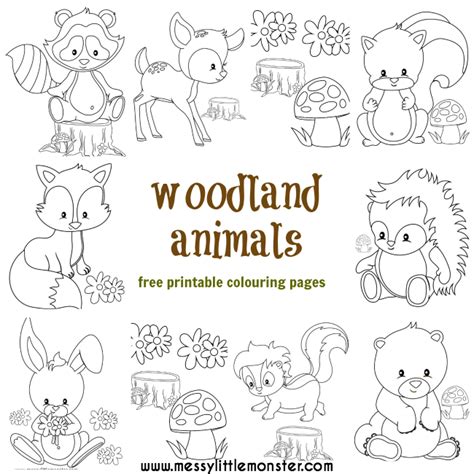 woodland coloring pages|free printable woodland animal pictures.